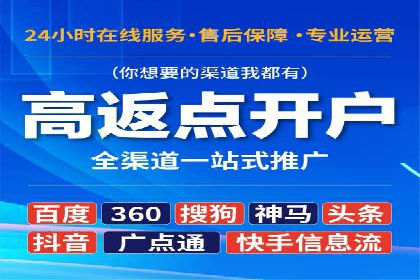 竞价托管服务案例解析